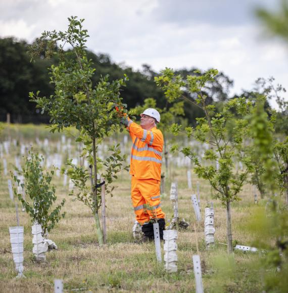 Finemere Woods Environmental Site - HS2