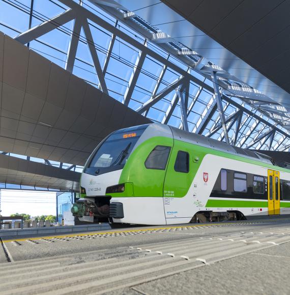Flirt Train 1
