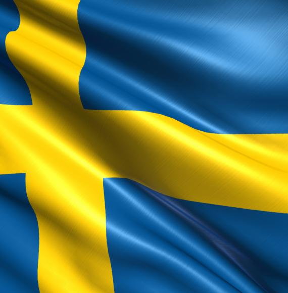 Sweden Flag 