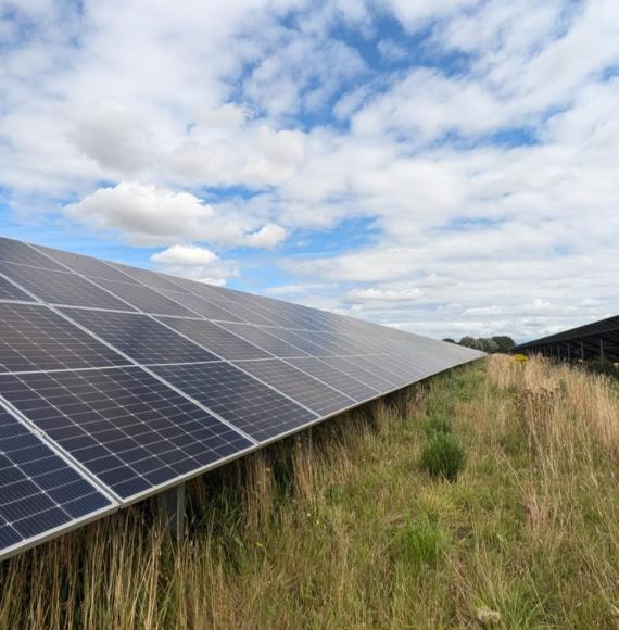 Solar Farm