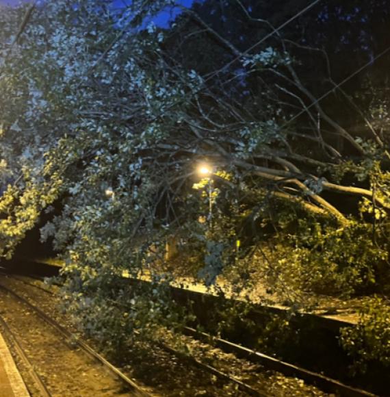 Storm Amy Pic 1