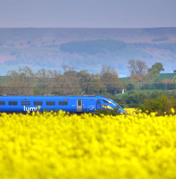 Lumo train