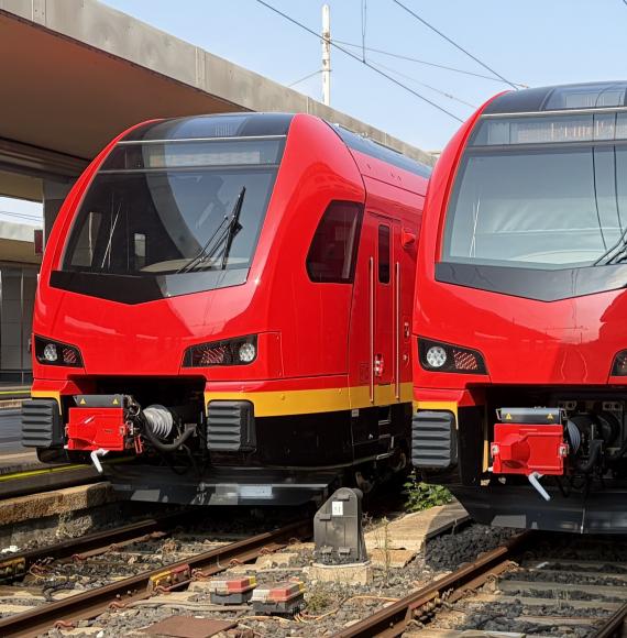FLIRT Trains