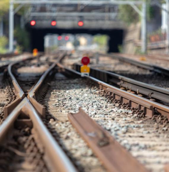 WCML Decision Cover Image