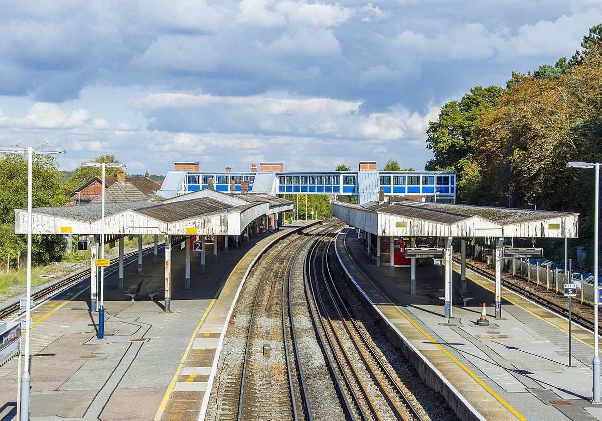 New Forest railway line proposed despite criticism for ‘pie in the sky’ idea 