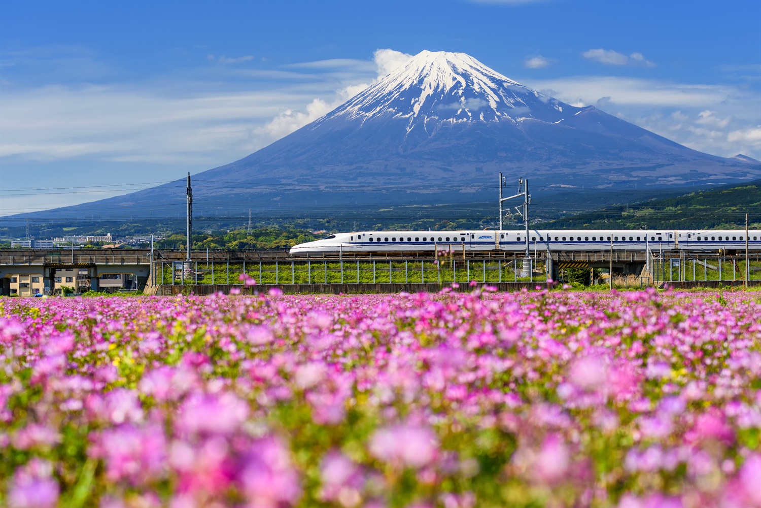 HS2 will be on par with Japan’s punctual bullet train, with issues ‘designed out of the system’