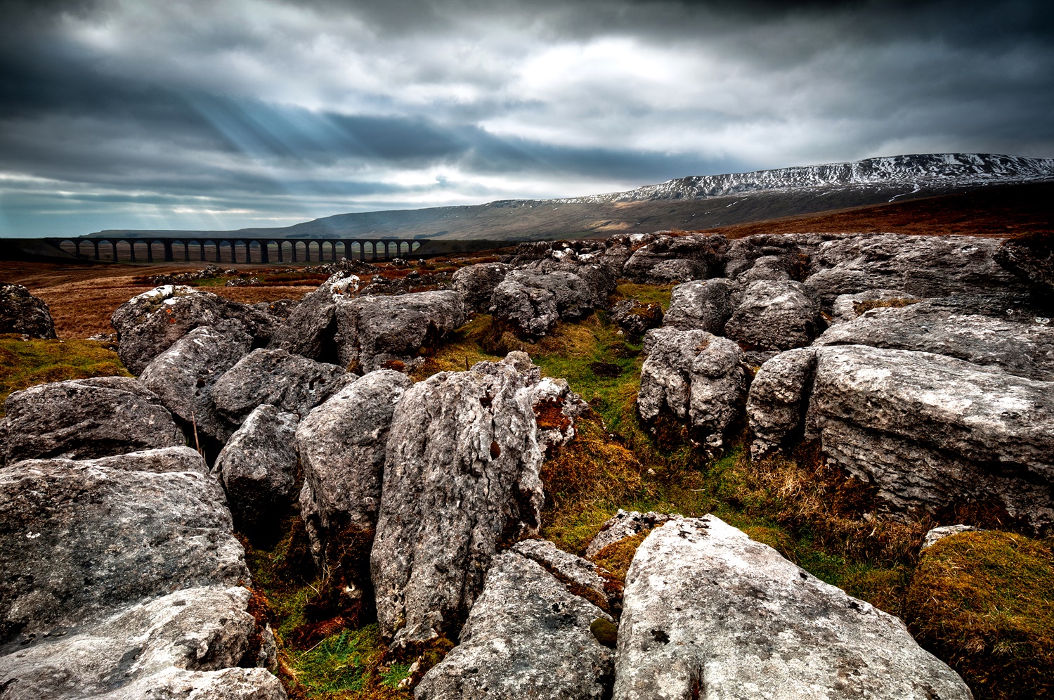 Lord Berkeley: TransPennine freight is being sidelined 