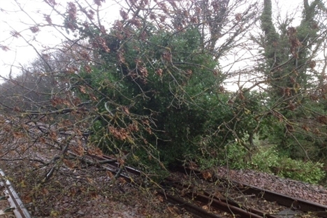 Lines reopen after storm batters rail network