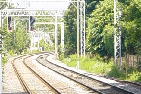 Network Rail tree felling must undergo consultation – MP