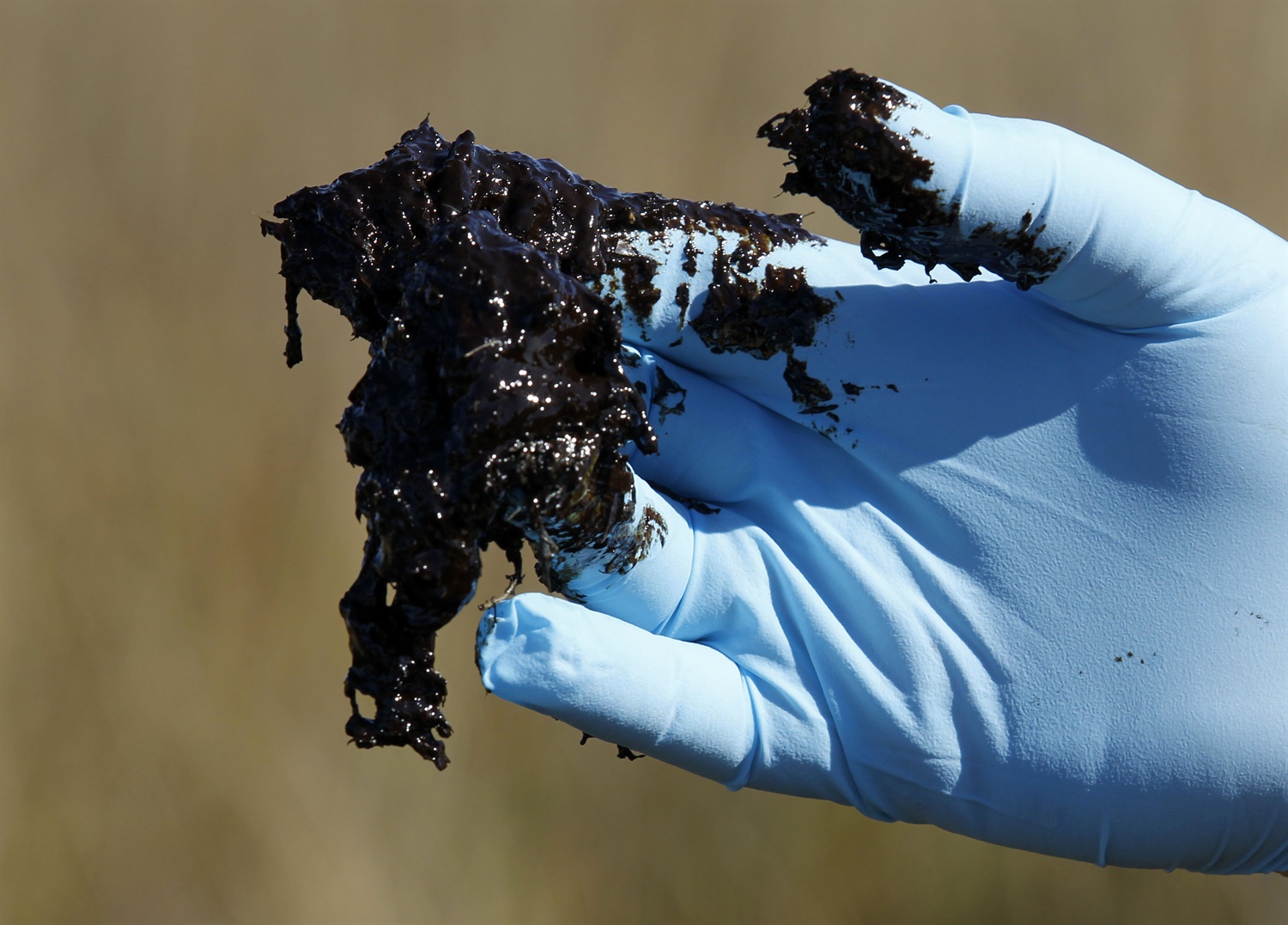 oil from deepwater spill. c. AP Photo, Gerald Herbert