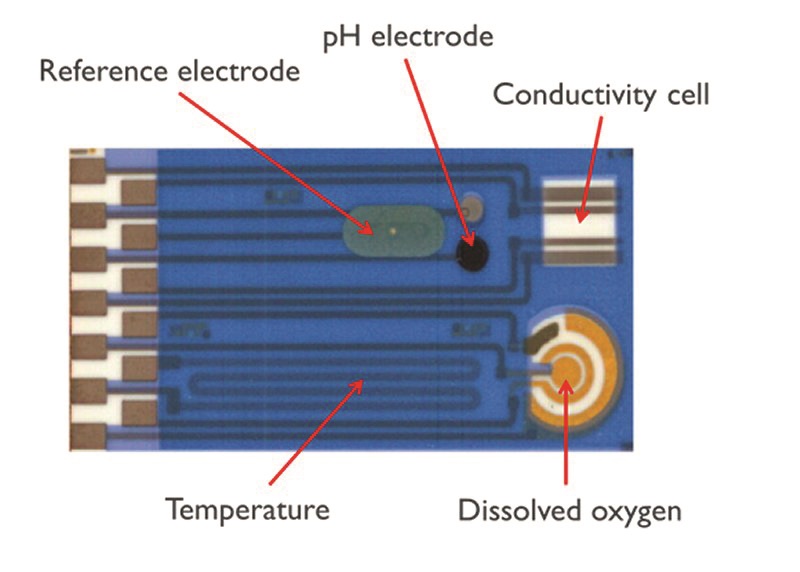 thick film sensor array.PNG SIA - JPG - Fit to Width 800 true thick film sensor array.PNG SIA - JPG - Fit to Width 800 true